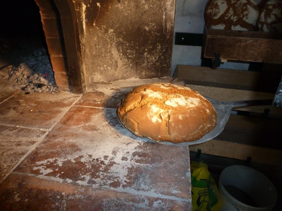 Agriturismo San Marco 호텔 로시냐노 마리티모 외부 사진